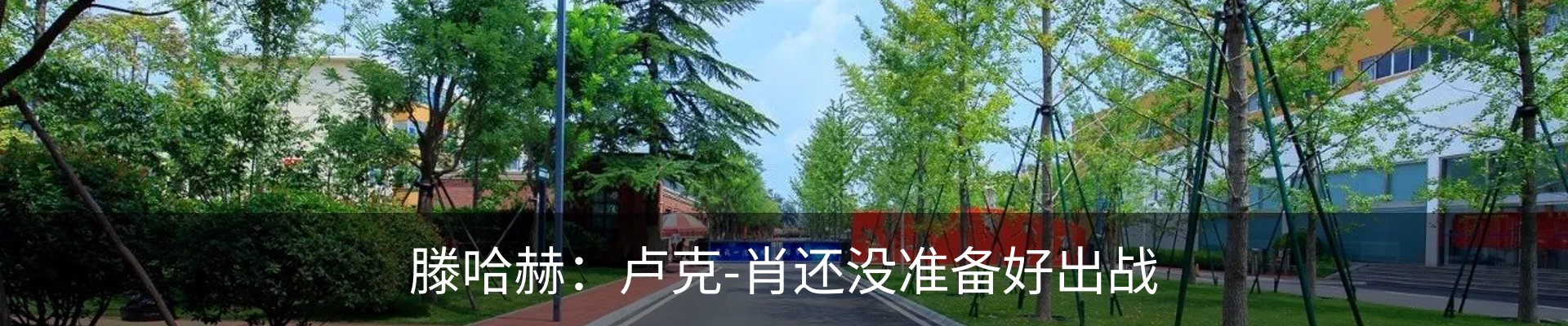 新闻动态